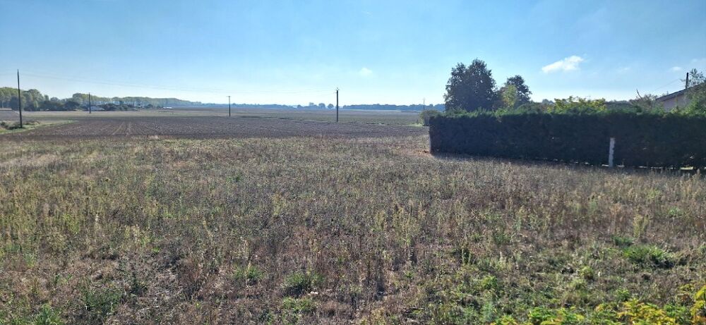 vente Terrain - 806 m² Thil (31530)