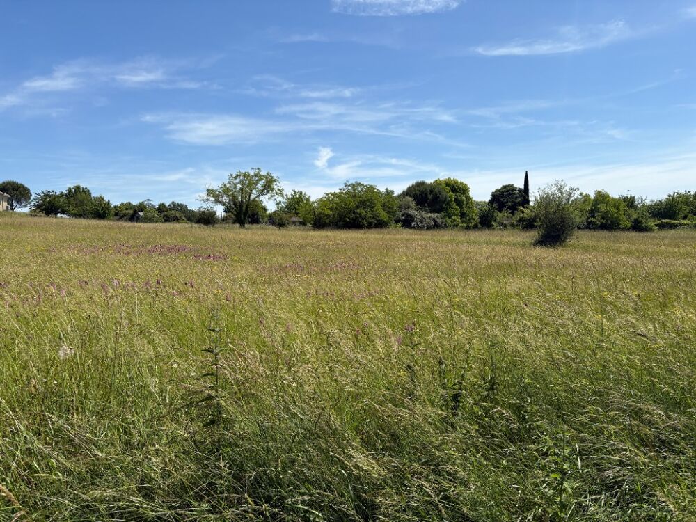 vente Terrain - 700 m² Montpitol (31380)