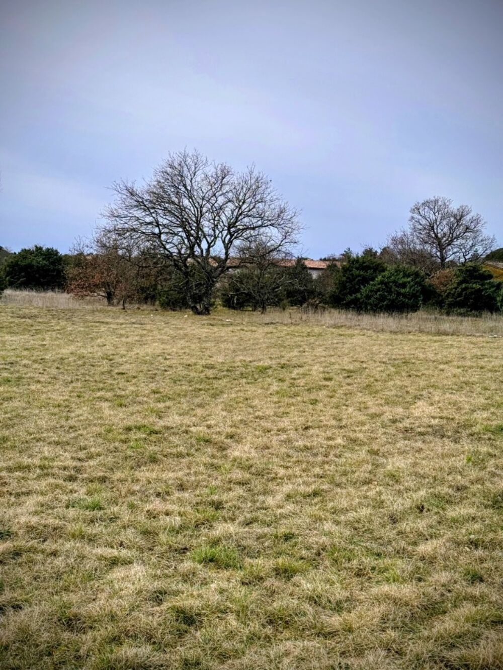 vente Terrain - 1160 m² Saint-Remèze (07700)
