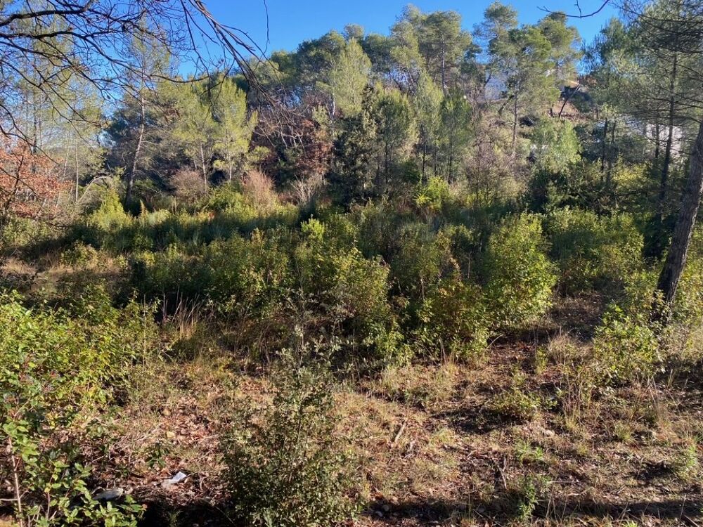 vente Terrain - 399 m² Brignoles (83170)