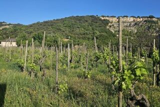  Terrain � vendre 520 m�