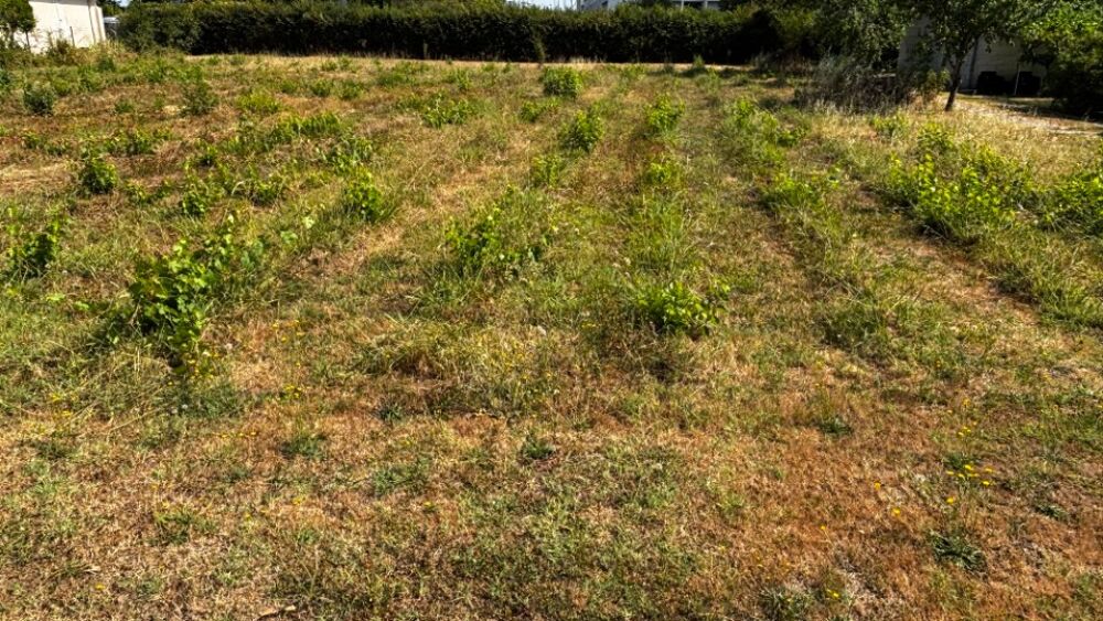 vente Terrain - 700 m² Lormont (33310)