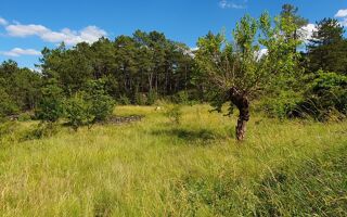  Terrain 1140 m� Chambonas