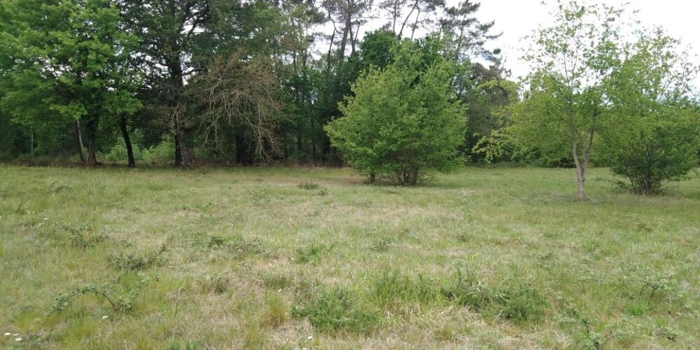 vente Terrain - 1600 m² Saint-Barthélemy-de-Bellegarde (24700)