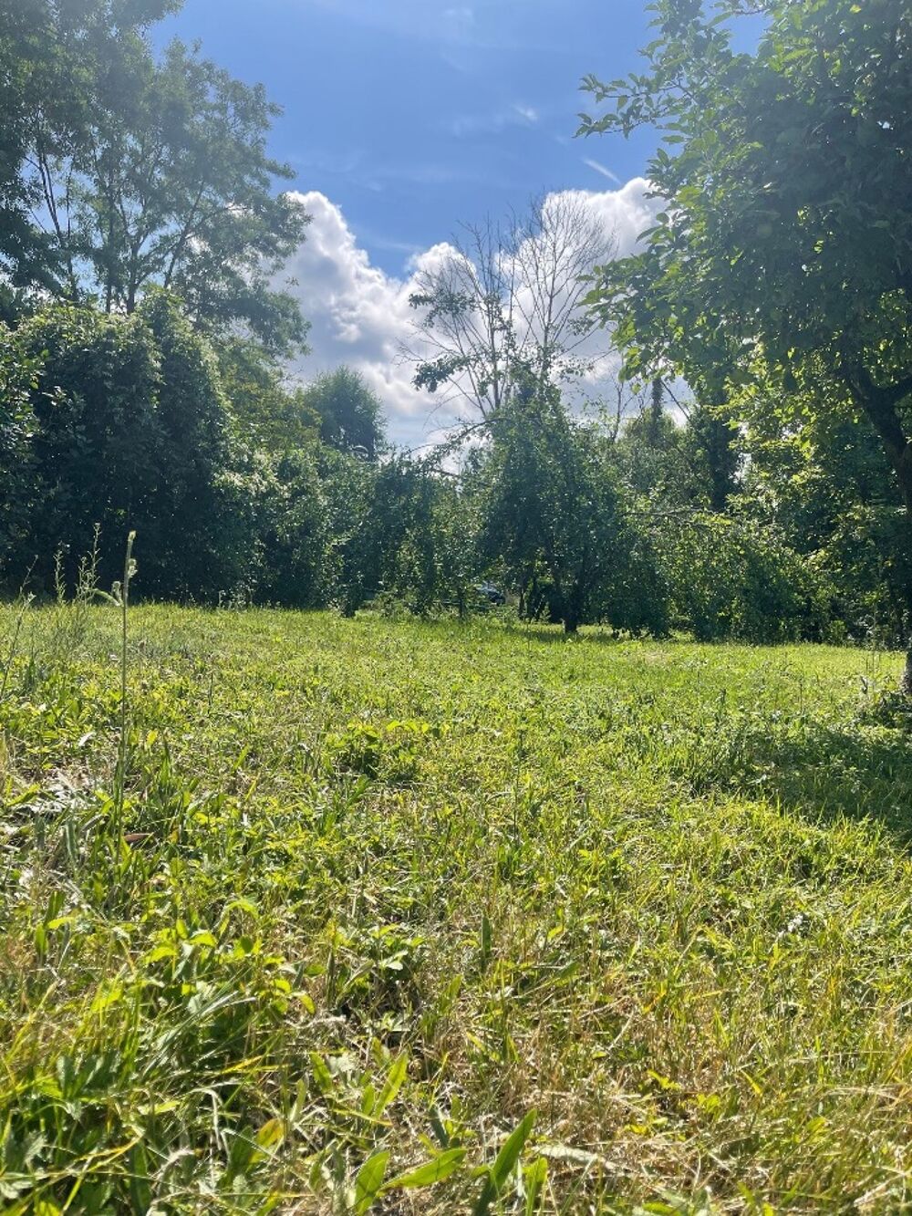 vente Terrain - 1680 m² Gouvieux (60270)