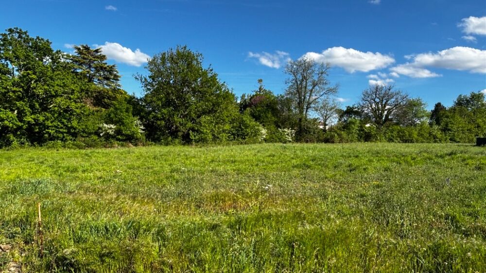 vente Terrain - 1950 m² Camblanes-et-Meynac (33360)