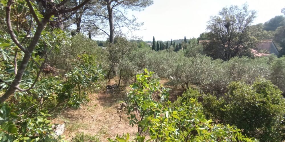 vente Terrain - 1000 m² Pélissanne (13330)