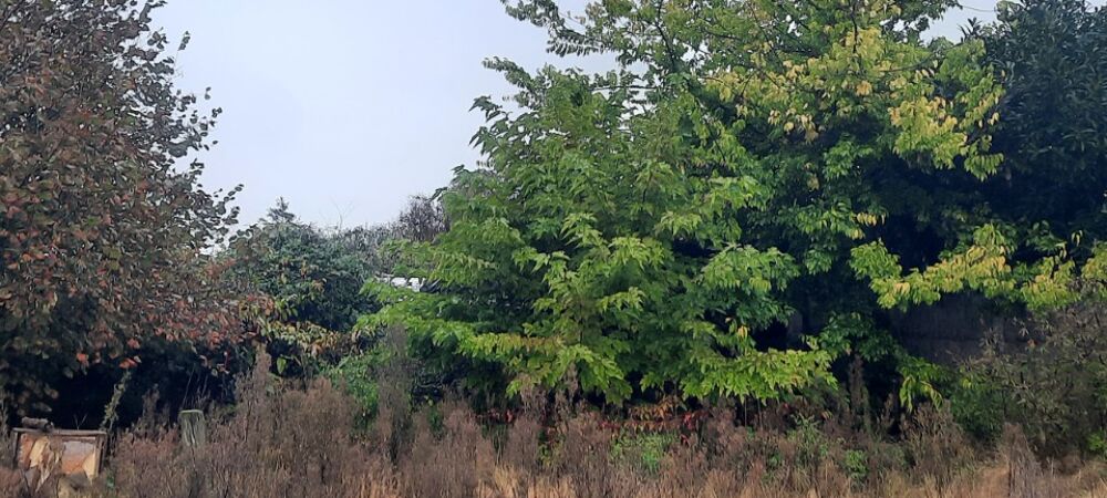vente Terrain - 1200 m² Gujan-Mestras (33470)