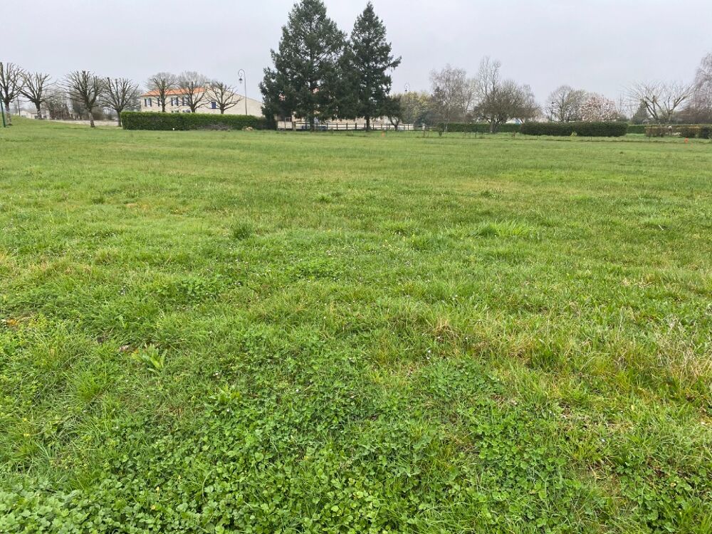 vente Terrain - 780 m² Genouillé (17430)