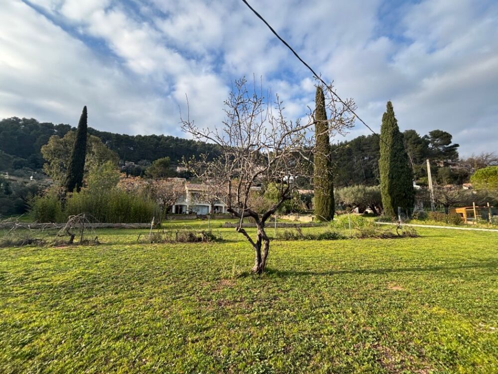 vente Terrain - 583 m² Solliès-Pont (83210)