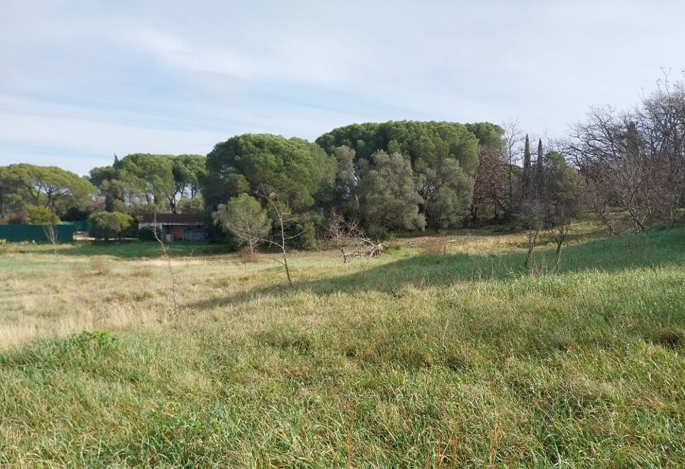 vente Terrain - 697 m² Roquebrune-sur-Argens (83520)