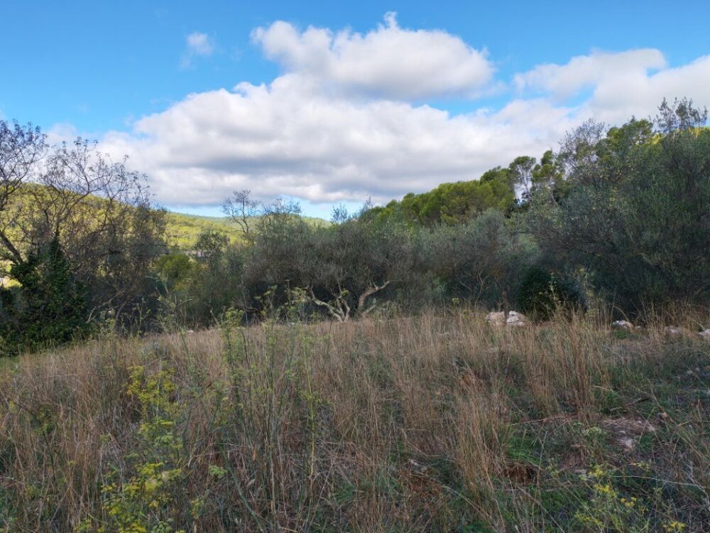 vente Terrain - 1005 m² Carnoules (83660)