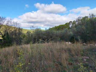  Terrain à vendre 1005 m²