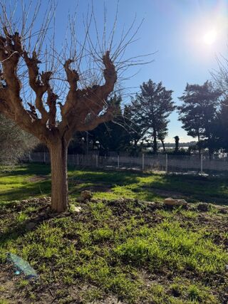  Terrain � vendre 901 m�