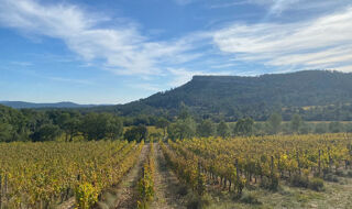  Terrain � vendre 788 m�