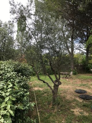  Terrain  vendre 400 m