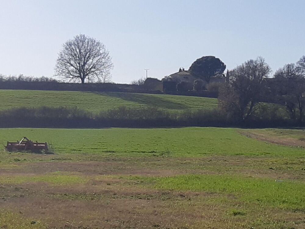 vente Maison - 6 pièce(s) - 115 m² Merville (31330)
