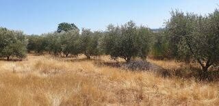  Maison � vendre 5 pi�ces 115 m�