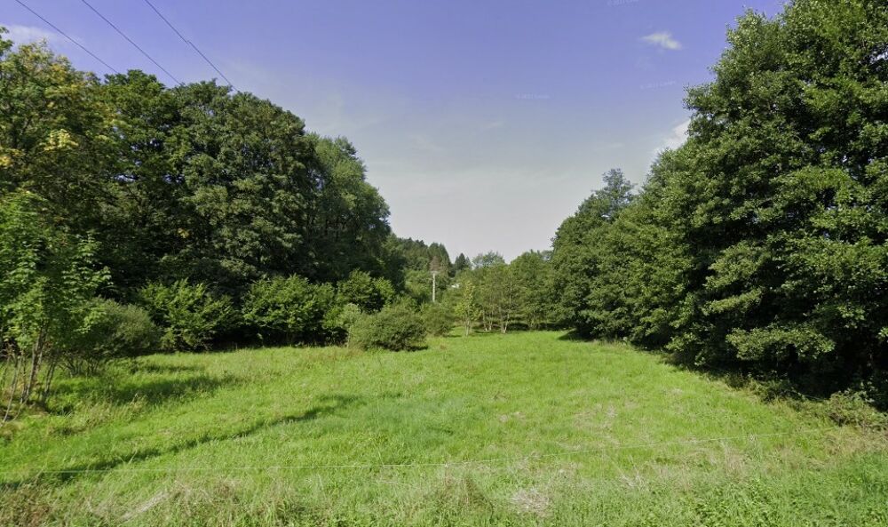 vente Terrain - 4039 m² Saulxures (67420)