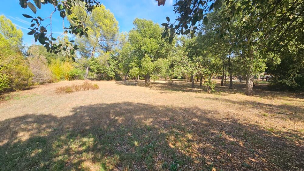 vente Terrain - 1007 m² Le Cannet-des-Maures (83340)