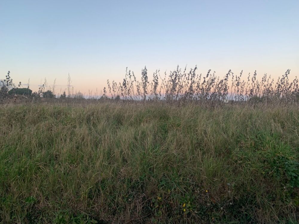 vente Terrain - 1600 m² La Sauvetat-du-Dropt (47800)