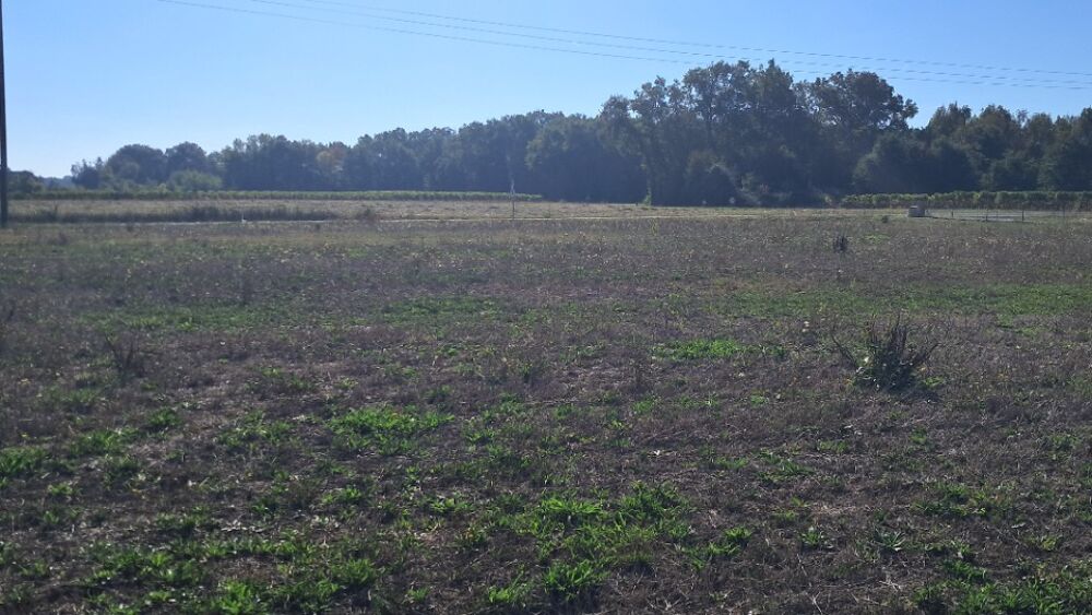 vente Terrain - 1471 m² Mérignac (17210)