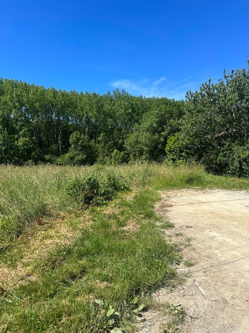vente Terrain - 590 m² Saint-Germain-du-Puch (33750)