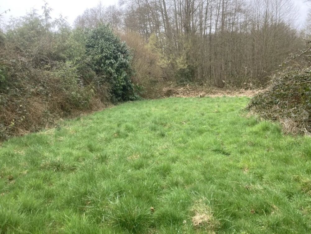 vente Terrain - 1433 m² Raizeux (78125)