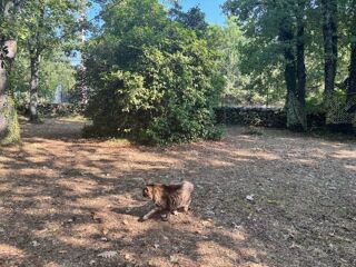  Terrain 1095 m Saint-czaire-sur-siagne