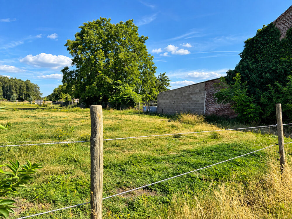 vente Terrain - 1500 m² Anhiers (59194)