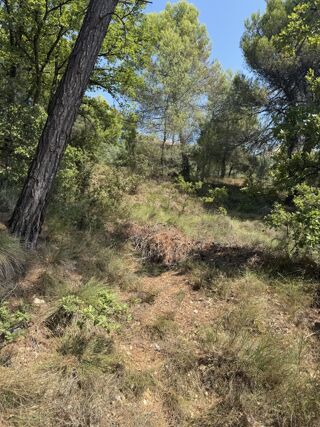  Terrain à vendre 1000 m²