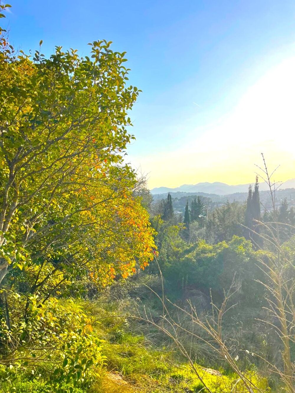vente Maison - 6 pièce(s) - 140 m² Mougins (06250)