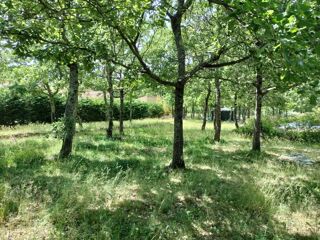  Maison 4 pi�ces 106 m� Le cannet-des-maures