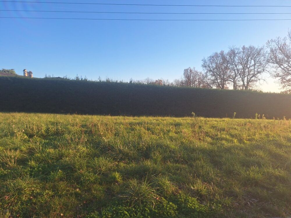 vente Maison - 6 pièce(s) - 178 m² Bretx (31530)