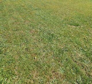  Terrain � vendre 735 m�