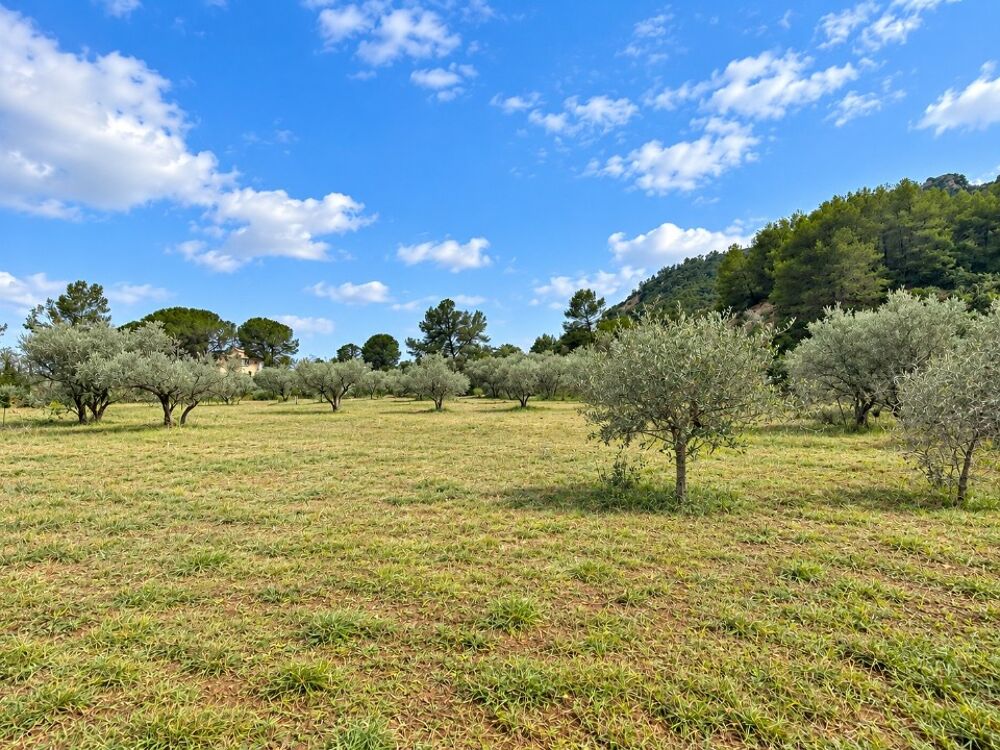 vente Terrain - 500 m² Gonfaron (83590)