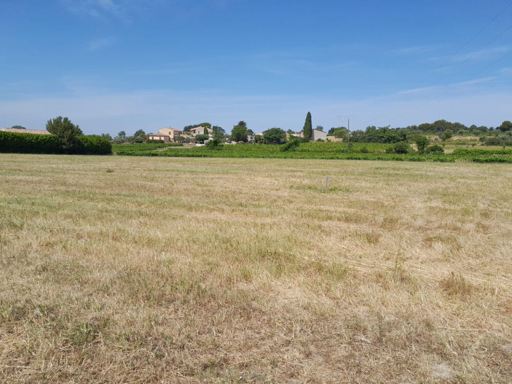 vente Terrain - 304 m² Cabrières-d'Avignon (84220)