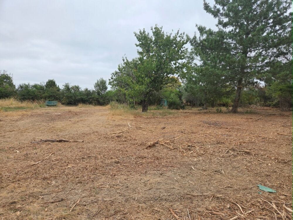 vente Maison - 5 pi�ce(s) - 130 m� Pinsaguel (31120)