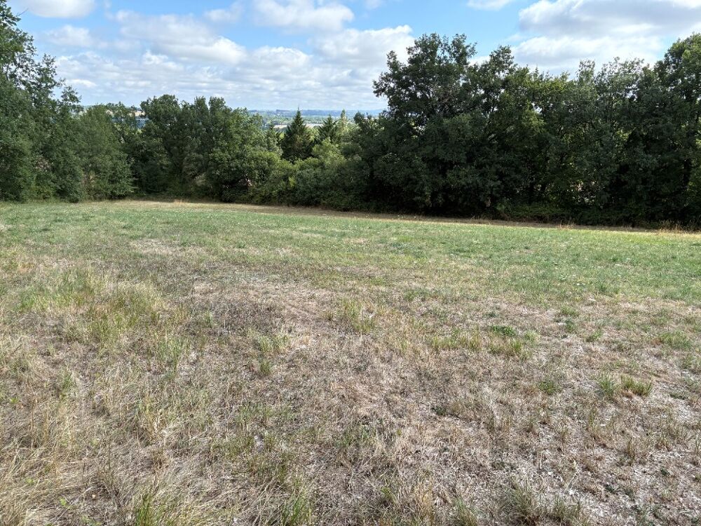 vente Terrain - 1268 m² Saïx (81710)