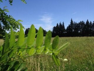  Maison � vendre 4 pi�ces 77 m�