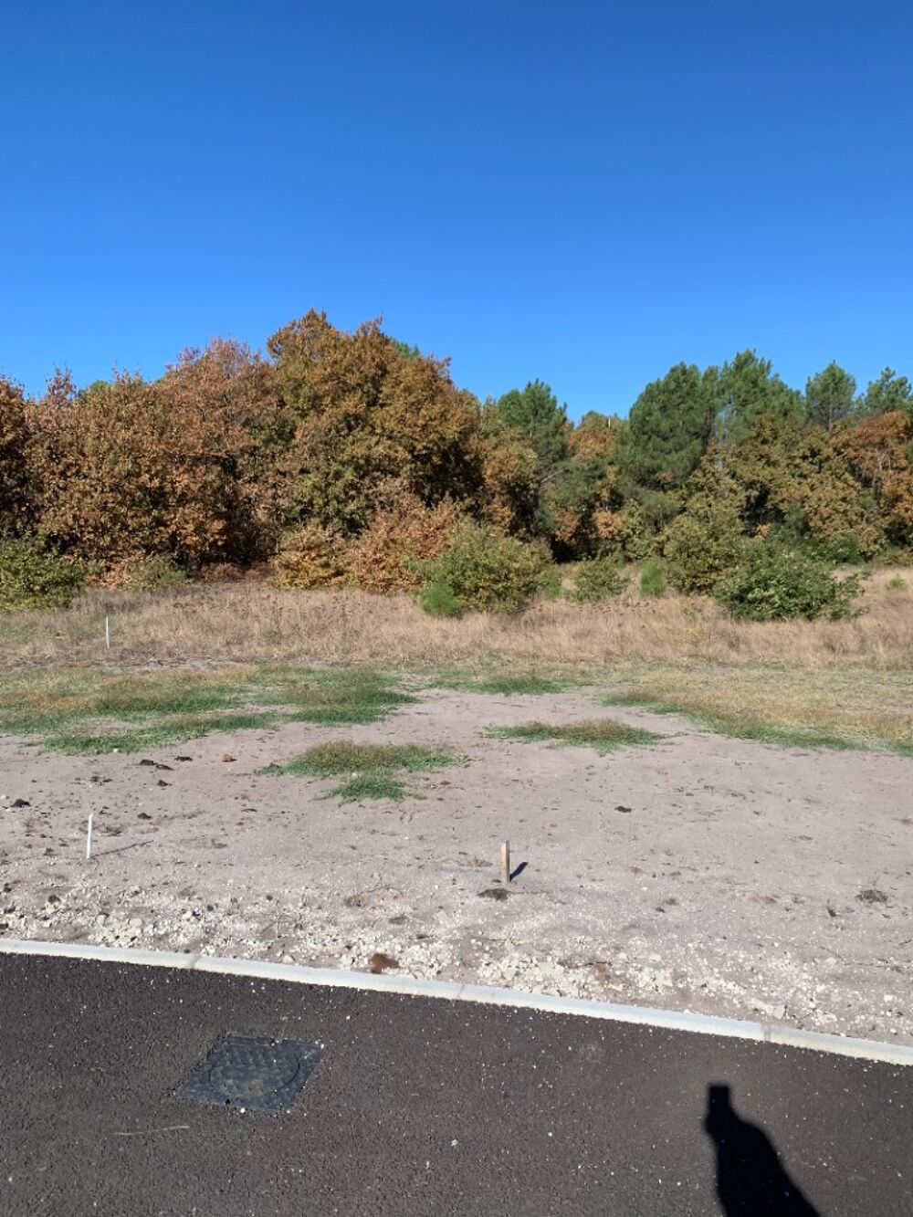 vente Terrain - 850 m² Lège-Cap-Ferret (33950)