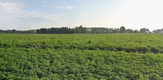  Terrain à vendre 321 m²