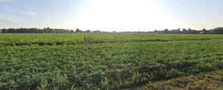  Terrain � vendre 489 m�