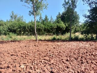  Terrain � vendre 278 m�