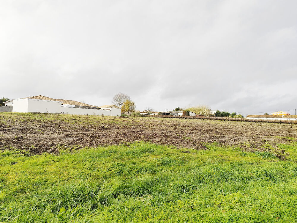 Notre agence Alpha Constructions Gaillan-en-Médoc est ra....