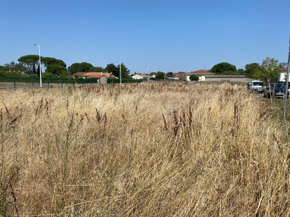 vente Maison - 4 pièce(s) - 120 m² Lespinasse (31150)