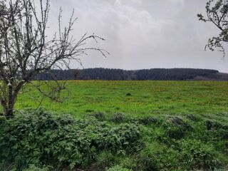  Terrain 1500 m² Roannes-saint-mary