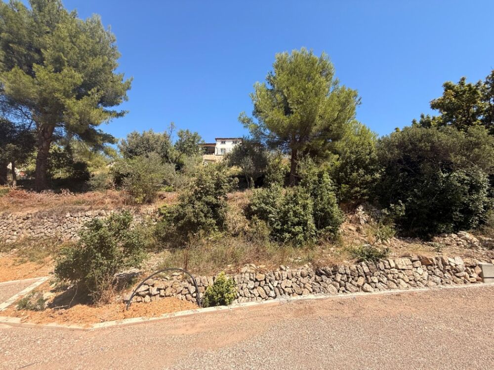 vente Terrain - 986 m² La Valette-du-Var (83160)
