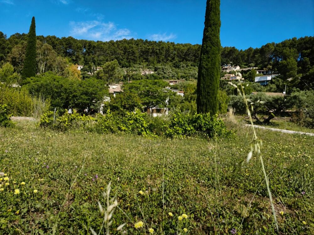 vente Terrain - 501 m² Solliès-Pont (83210)