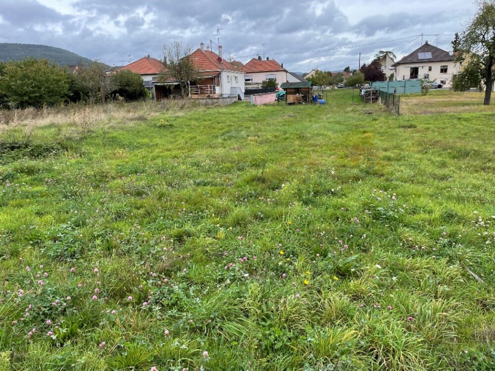 Vente Terrain 556 m² - Vue 4